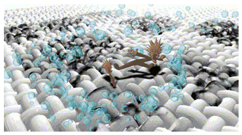 1605496285473615.png 2.png