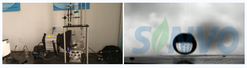 1605664567567431.jpg 2.jpg