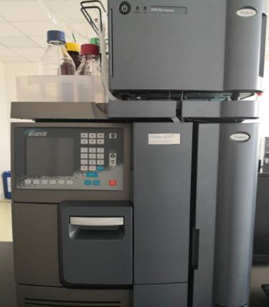 1605669073161864.jpg d.jpg