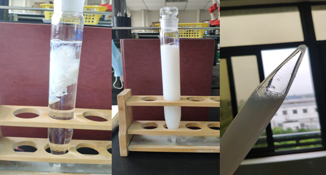 1605696231385353.jpg 未標題-7.jpg