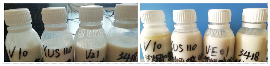 1613986927188519.png 10.png